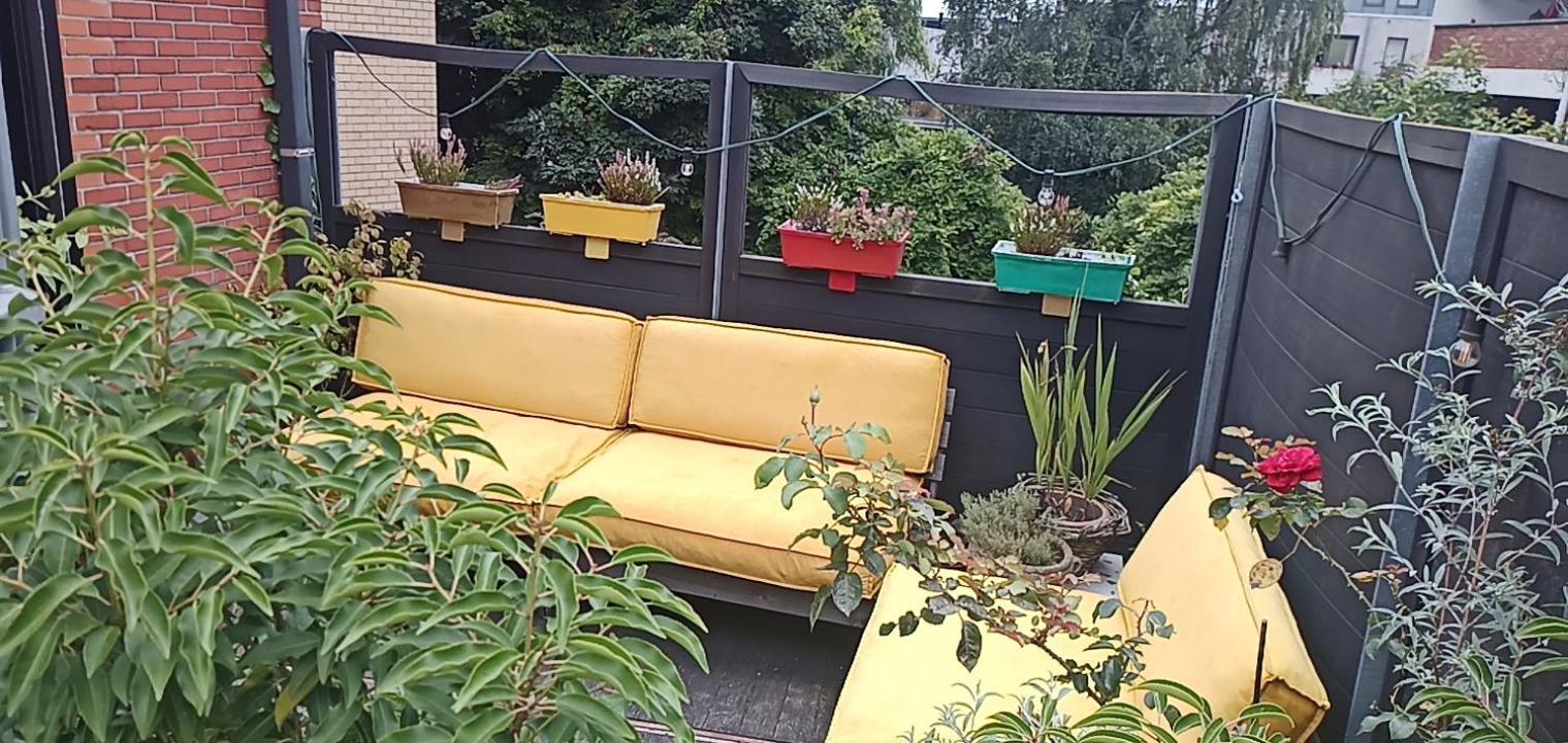 Lodgerivierenhof Antwerpen Buitenkant foto
