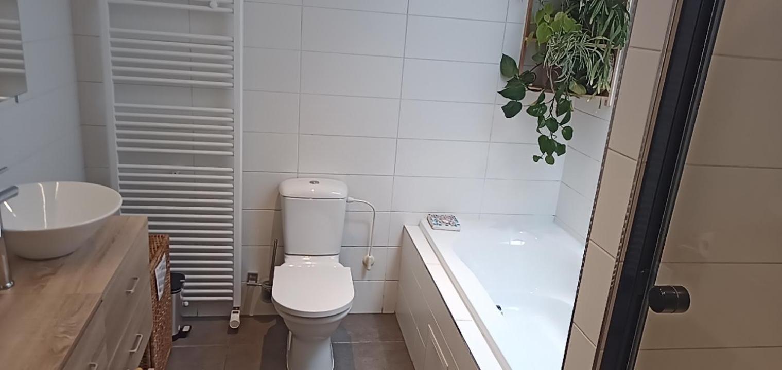Lodgerivierenhof Antwerpen Buitenkant foto